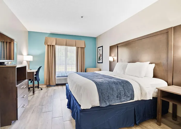 Blue Water Inn & Suites BW Signature Collection
